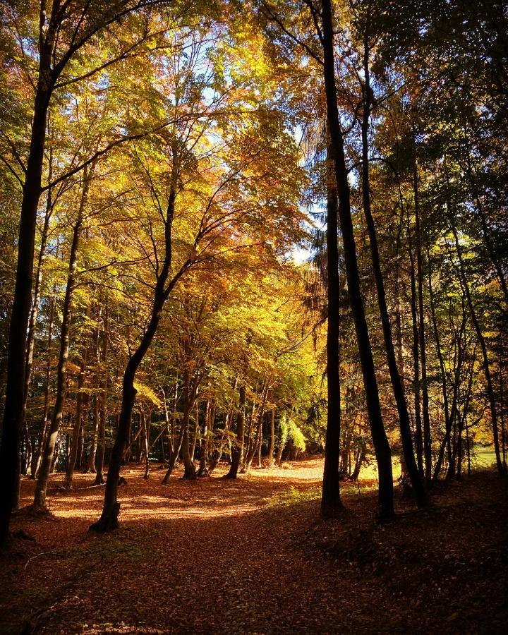 Camera de le Rondole, Maso Postel - OSPITAR Pergine Valsugana Exterior foto
